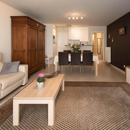 Modern With Furniture Apartment *