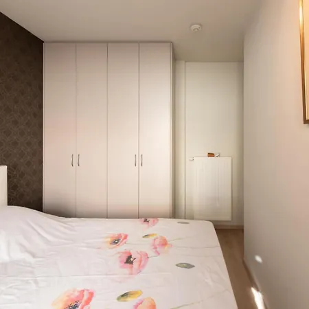 Modern With Furniture