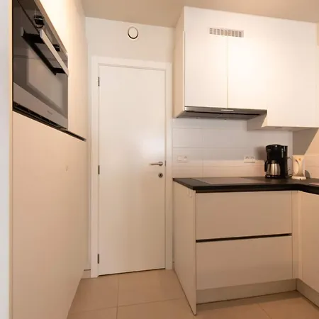 Modern With Furniture Apartment *
